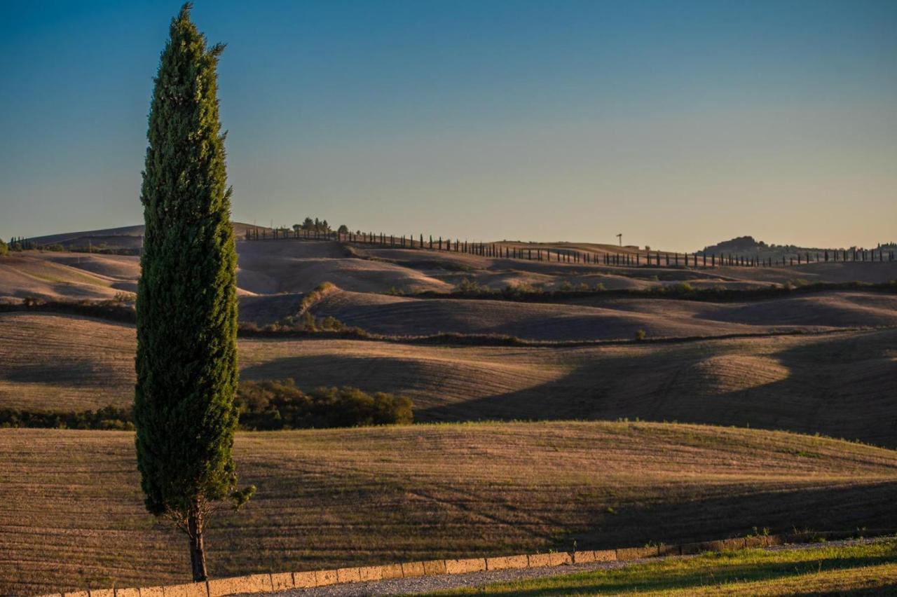 Casa Lavanda - Podere Fossaccio อัสเชียโน ภายนอก รูปภาพ